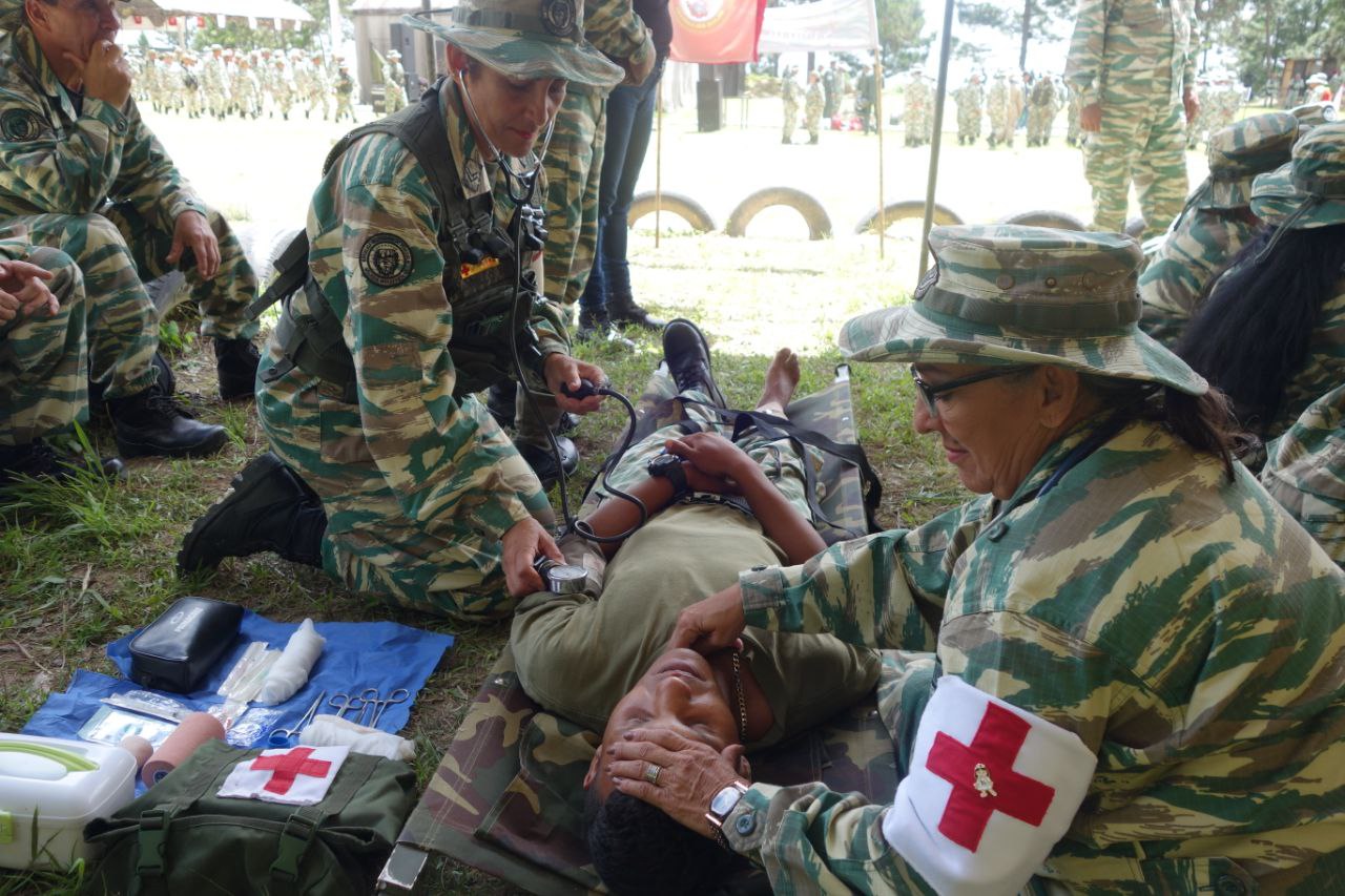 Sanidad Militar en Campaña