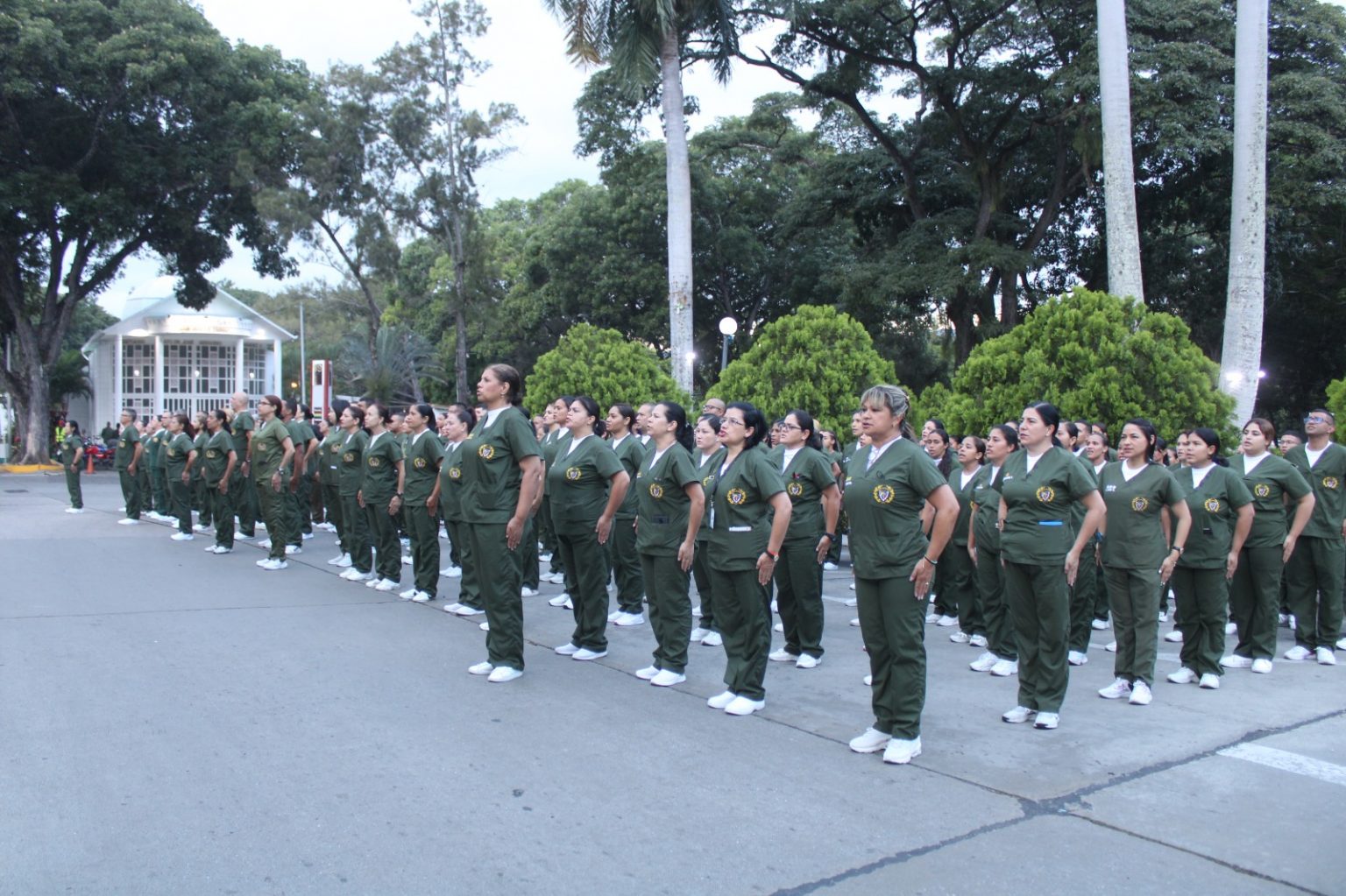 Sanidad Militar en Campaña