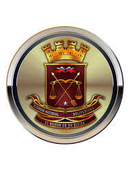 PLA MAYOR (PERF EN GERENCIA EN SEGURIDAD PÚBLICA )